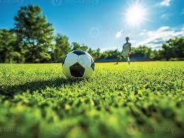 体育媒体工作者数据查询